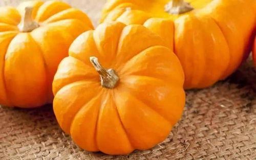 偷南瓜最新爆料,最新爆料揭示惊人真相